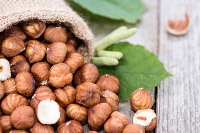 nocciola_tutela_calabrese